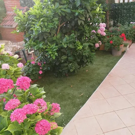 Pavin Apartamento Poljana (Ugljan)